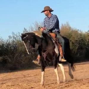 Meet your Posher, Scotty